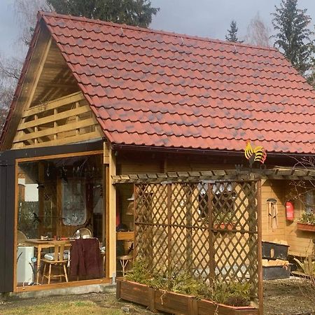 Holzhaus Mit Direktem Wasserzugang In Berlin-Koepenick Buitenkant foto