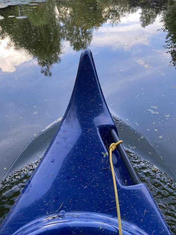Holzhaus Mit Direktem Wasserzugang In Berlin-Koepenick Buitenkant foto